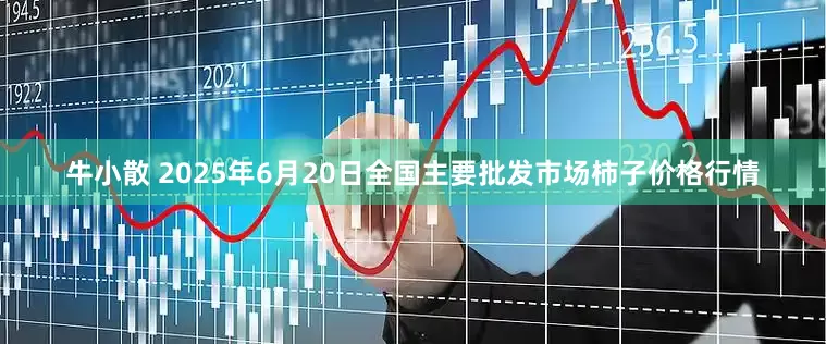 牛小散 2025年6月20日全国主要批发市场柿子价格行情