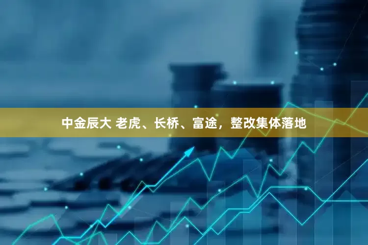 中金辰大 老虎、长桥、富途，整改集体落地